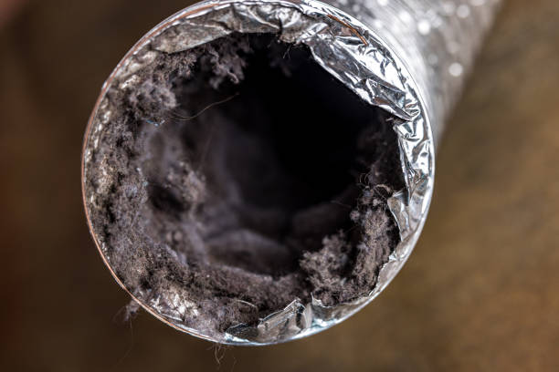Best Affordable HVAC Duct Cleaning  in Miami Beach, FL