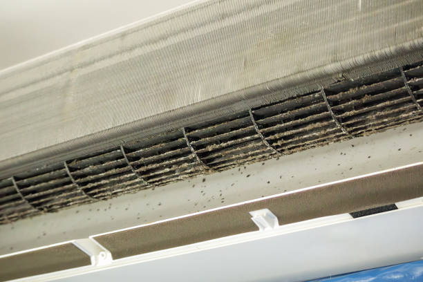 Best Affordable Duct Cleaning Services  in Miami Beach, FL